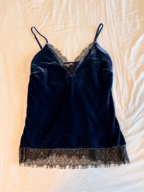 Gold Hawk Silk Velvet and Lace Top